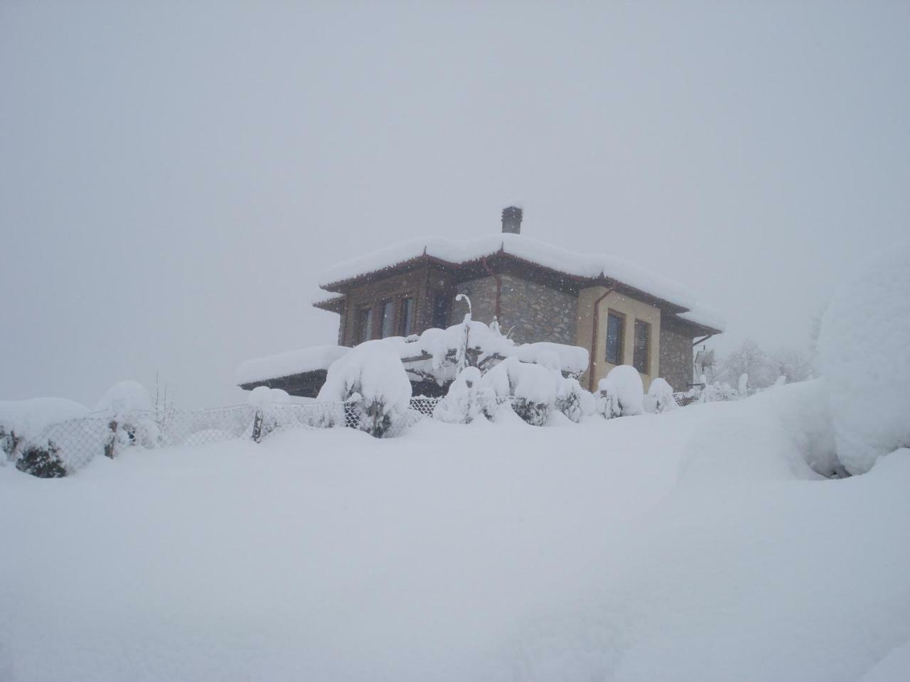 Kleio Villa เอลาโตโครีออน ภายนอก รูปภาพ